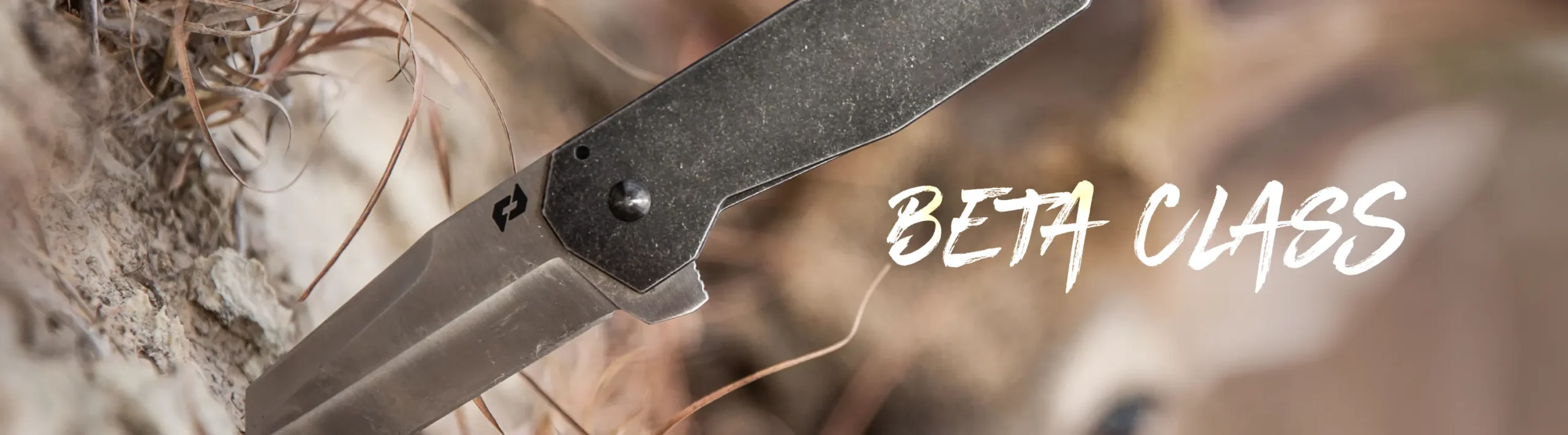 Schrade -Schrade banner1 scaled